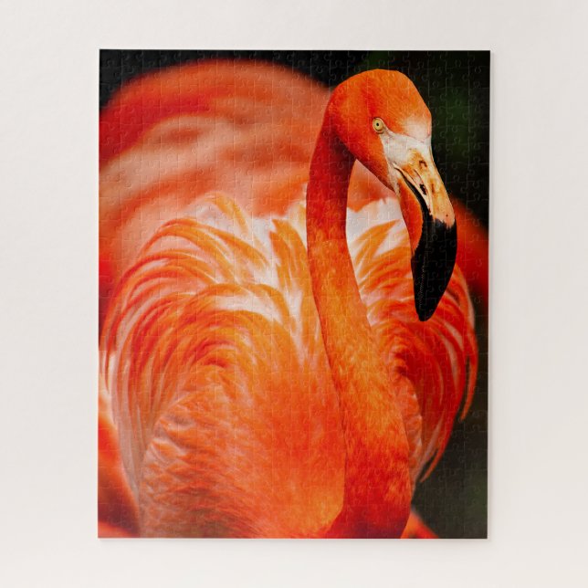 Lebhafter Flamingo Wildlife Bird (Vertikal)