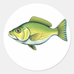 Lebhafter Grüner Fisch mit Wellenmuster Runder Aufkleber