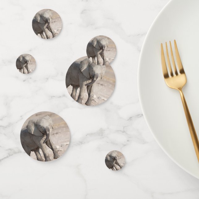 Lebhafter junger Elefant Konfetti (Gruppe)