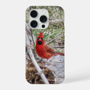 Lebhafter Kardinal iPhone 15 Pro Hülle