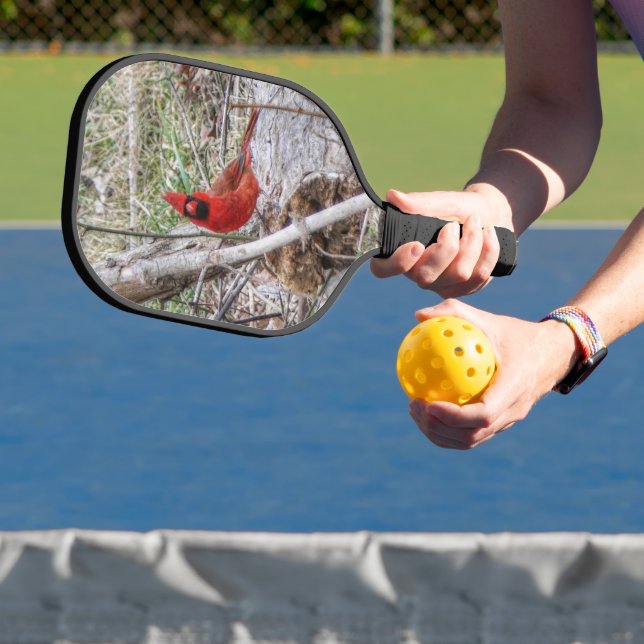 Lebhafter Kardinal Pickleball Schläger (InSitu)