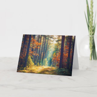 Lebhafter Morgen im farbenfrohen Wald mit Sonnenst Karte