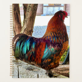 Lebhafter Rooster-Custom-Planer Planer