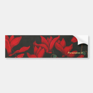 Lebhafter roter Cyclamen auf schwarzem Hintergrund Autoaufkleber