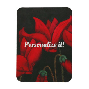Lebhafter roter Cyclamen auf schwarzem Hintergrund Magnet
