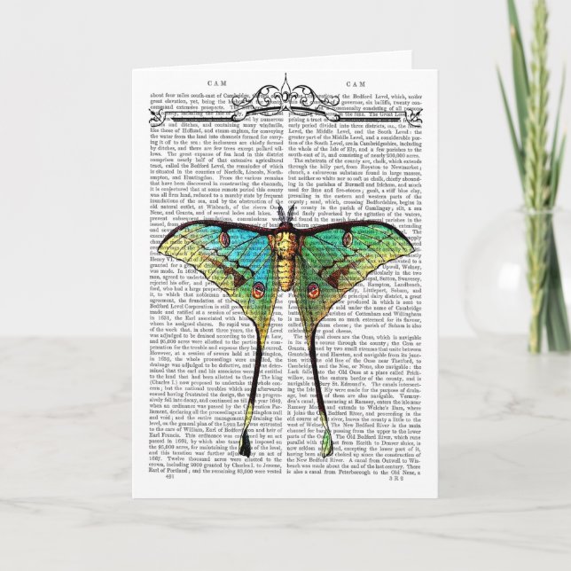 Lebhafter Schmetterling Karte (Vorderseite)