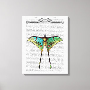 Lebhafter Schmetterling Leinwanddruck
