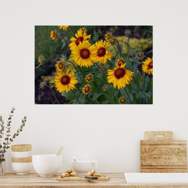 Lebhafter Sonnenschein: Orangefarbene Sonnenblumen Poster (Küche)