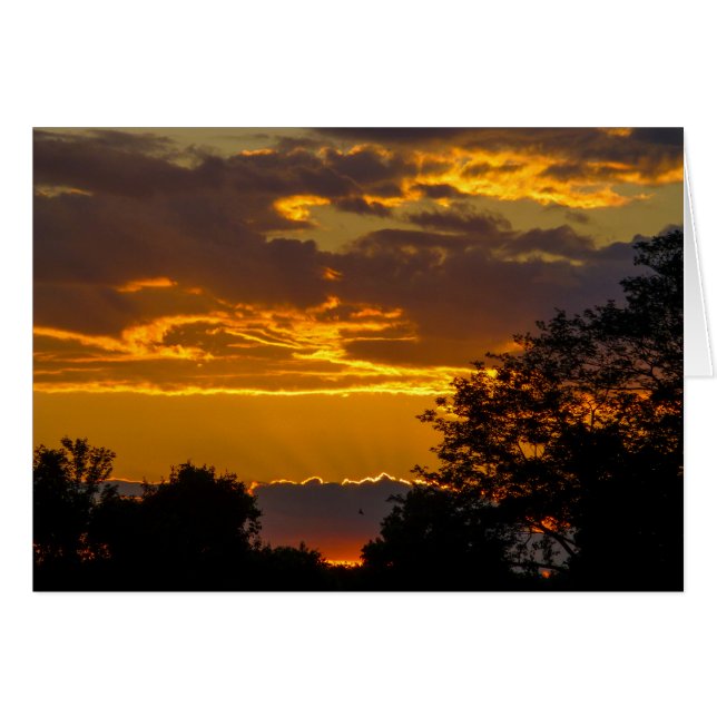 Lebhafter Sonnenuntergang mit fliegendem Vogel (Vorderseite (Horizontal))