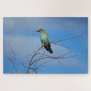 lebhafter Vogel