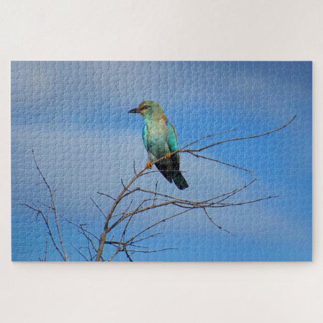 lebhafter Vogel (Horizontal)