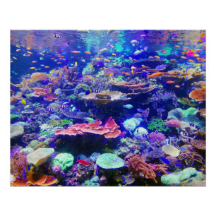 Lebhaftes farbenfrohes tropisches Fischaquarium Poster