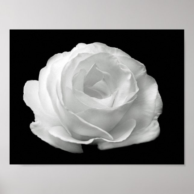 lebhaftes Foto mit schwarz-weißem Blumenmotiv Poster (Vorne)