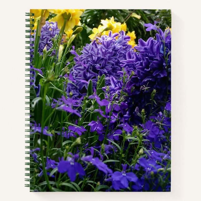 Lebhaftes Hyacinth & Daffodil Spring Blume Noteboo Notizbuch (Vorderseite)