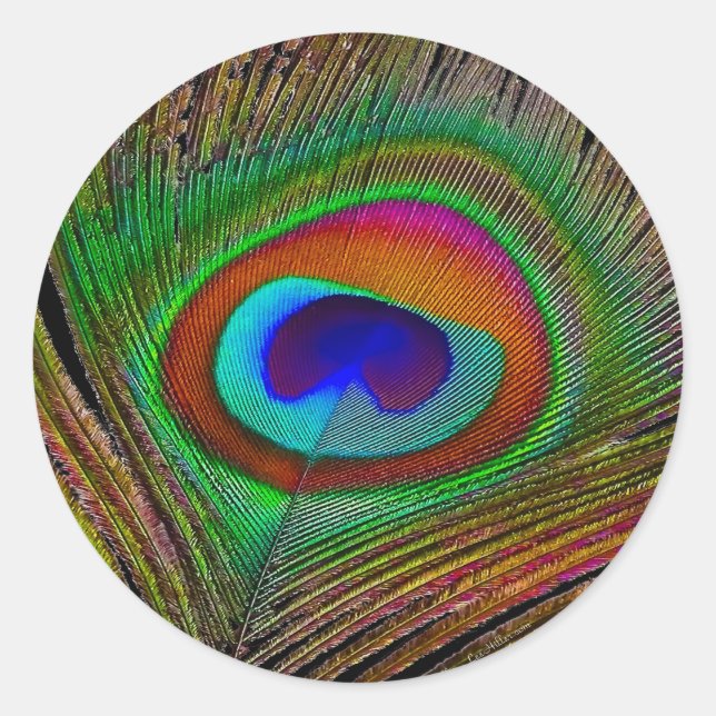 Lebhaftes Kupfer Peacock Feather Runder Aufkleber (Vorderseite)