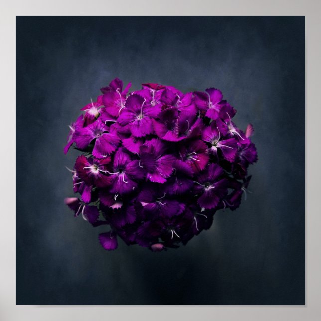 Lebhaftes Lila florales Foto Poster (Vorne)