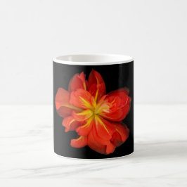 Lebhaftes Orange Begonia Macro Kaffeetasse