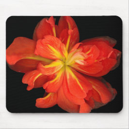 Lebhaftes Orange Begonia Macro Mousepad