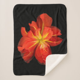 Lebhaftes Orange Begonia Macro Sherpadecke