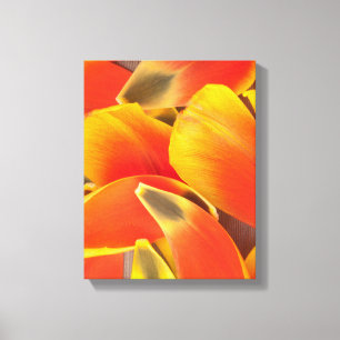 Lebhaftes Orange Tulip Blume Petals Foto Leinwanddruck