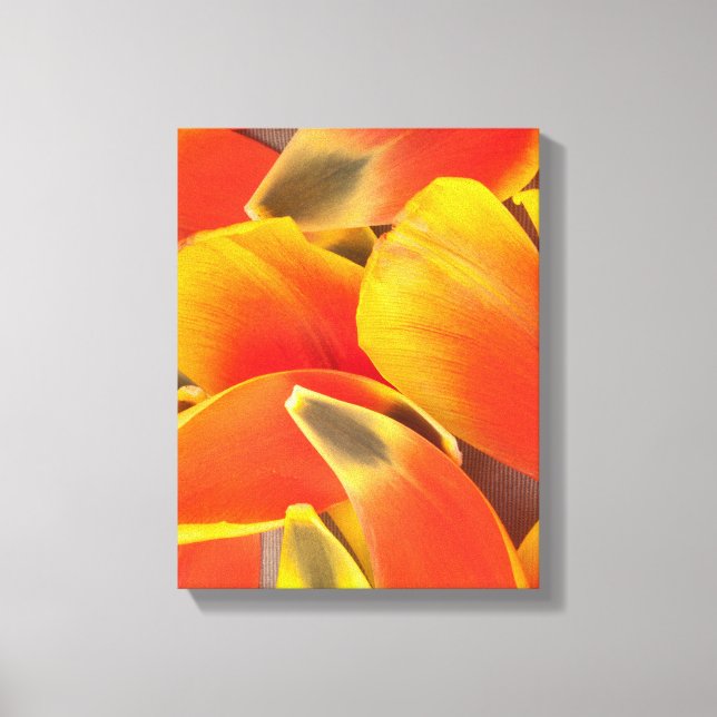 Lebhaftes Orange Tulip Blume Petals Foto Leinwanddruck (Vorderseite)