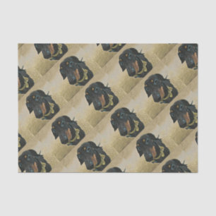 LeBron die Dackel Wrapping Papier. Seidenpapier