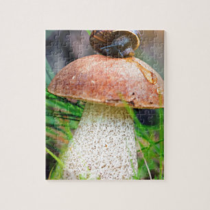 Leccinum auf Gras mit Schnecke