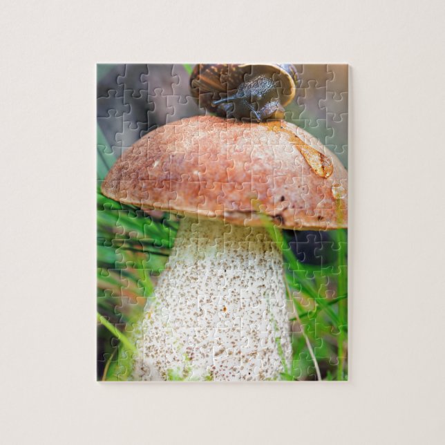 Leccinum auf Gras mit Schnecke (Vertikal)