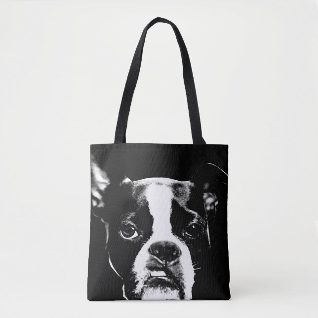 Lecken Sie u. Haltungs-Tasche Tasche (Vorderseite)