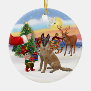 Leckerei - Belgisch Malinois Keramikornament
