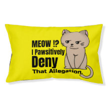 Leckerei deine Katze zu etwas Besonderem heute!