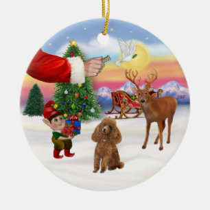 Leckerei für einen apricotfarbenen Pudel (Toy) Keramikornament