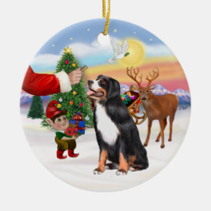 Leckerei für einen Berner Hund Keramikornament