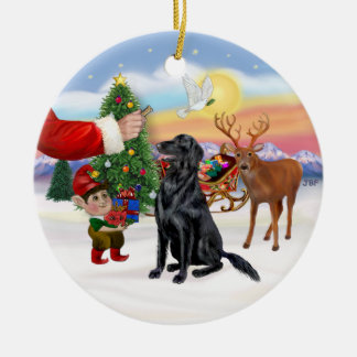 Leckerei für einen flachbeschichteten Retriever Keramikornament