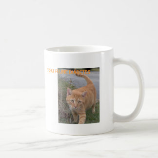 LECKEREI-KATZENARTIGER DIABETES KAFFEETASSE