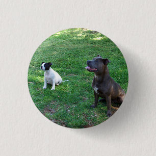 Leckerei Zeit, kleine Taste Abzeichen. Button