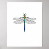 Leckeres Dragonfly Art Print Poster