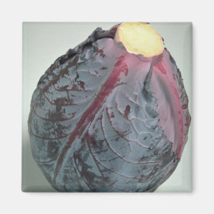 Leckeres Kohl Magnet