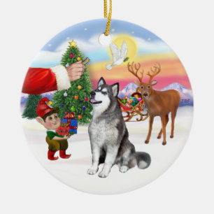 Leckerli für einen Alaskan Malamute Keramik Ornament