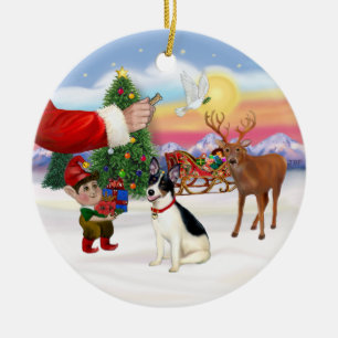 Leckerli für einen Rat Terrier Keramikornament