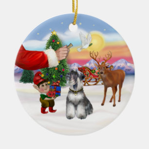 Leckerli für einen Schnauzer (natürliche Ohren) Keramik Ornament