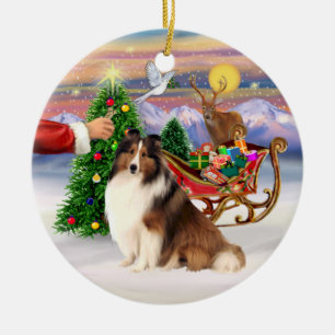 Leckerli für einen Shetland Sheepdog (#7) Keramikornament