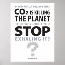 L'écologie - Arrêtez de s'expatrier : Affiche de p