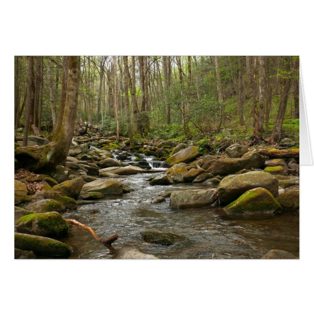 LeConte Creek auf den Großen Smoky-Bergen (Vorderseite (Horizontal))