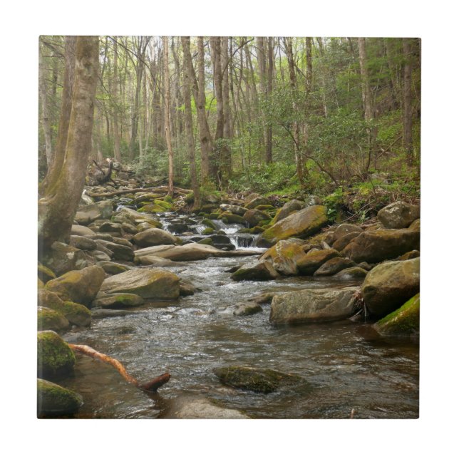 LeConte Creek auf den Großen Smoky-Bergen Fliese (Vorderseite)