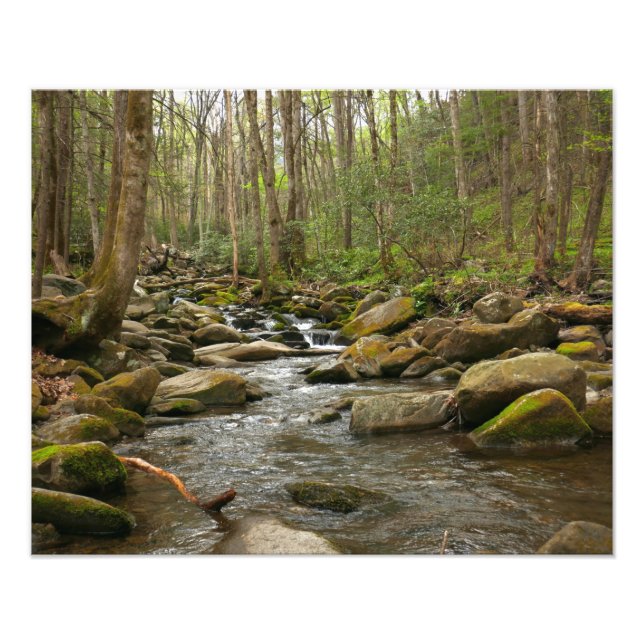 LeConte Creek auf den Großen Smoky-Bergen Fotodruck (Vorne)