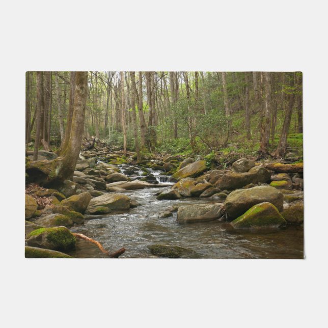 LeConte Creek auf den Großen Smoky-Bergen Fußmatte (Vorderseite)