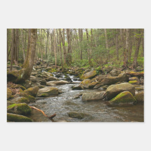LeConte Creek auf den Großen Smoky-Bergen Geschenkpapier Set
