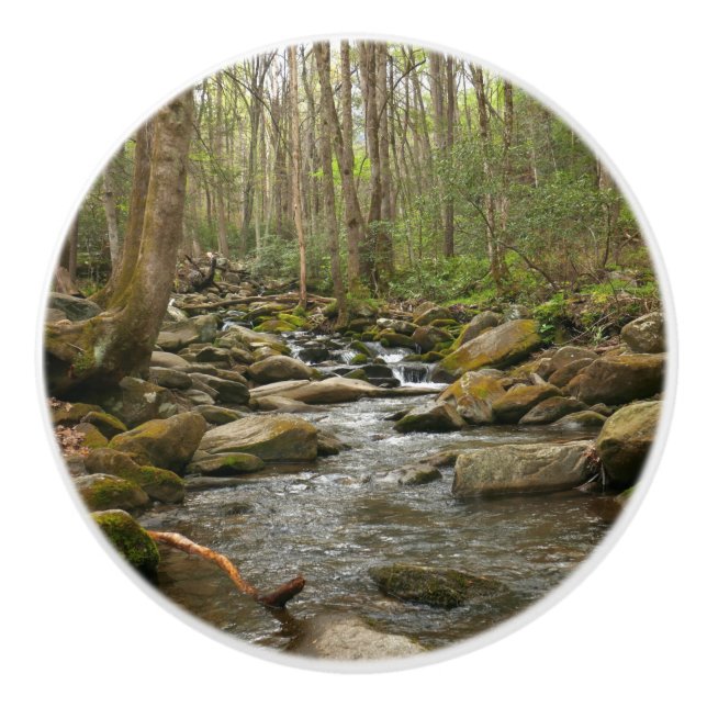 LeConte Creek auf den Großen Smoky-Bergen Keramikknauf (Vorderseite)