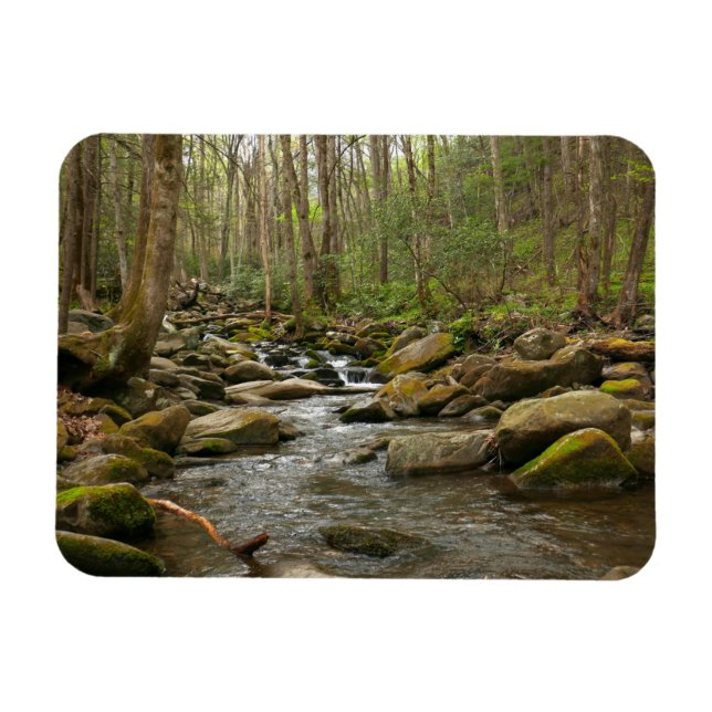 LeConte Creek auf den Großen Smoky-Bergen Magnet (Horizontal)